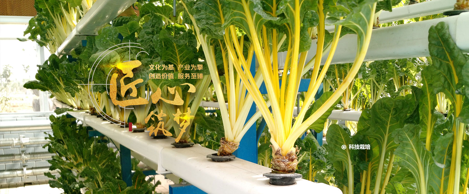 適合精細粉末、顆粒和液體的篩分，除雜和過濾